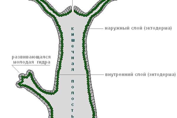 Кракен даркнет вход