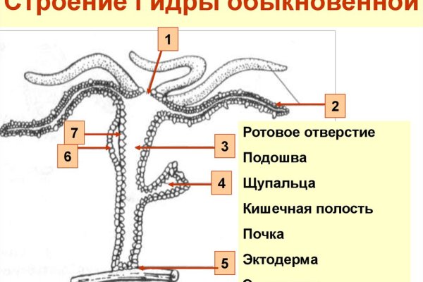 Кракен в обход блокировки